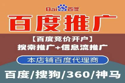 电商平台信息流广告的投放策略与效果评估案例